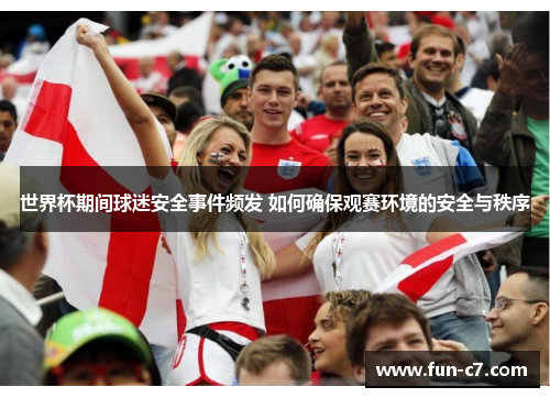 世界杯期间球迷安全事件频发 如何确保观赛环境的安全与秩序