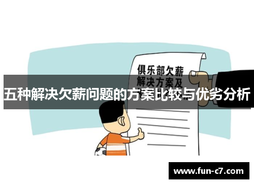 五种解决欠薪问题的方案比较与优劣分析