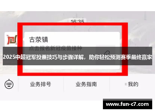 2025中超冠军投票技巧与步骤详解，助你轻松预测赛季最终赢家