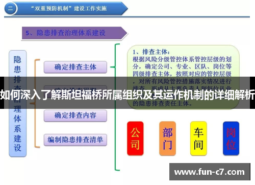 如何深入了解斯坦福桥所属组织及其运作机制的详细解析