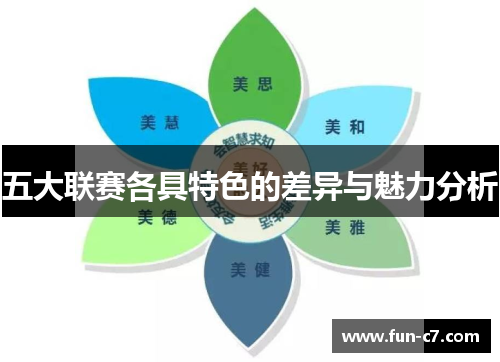 五大联赛各具特色的差异与魅力分析