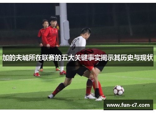 加的夫城所在联赛的五大关键事实揭示其历史与现状