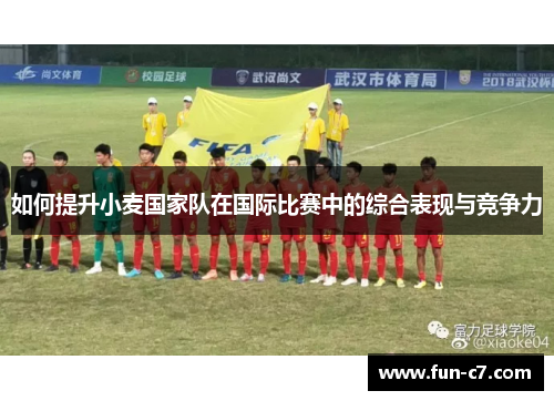 如何提升小麦国家队在国际比赛中的综合表现与竞争力